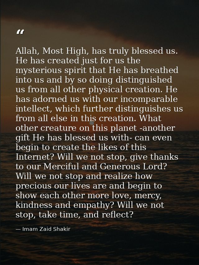 Allah, Most High, has truly blessed us. He has created just for us the mysterious spirit that He has breathed into us an — Imam Zaid Shakir