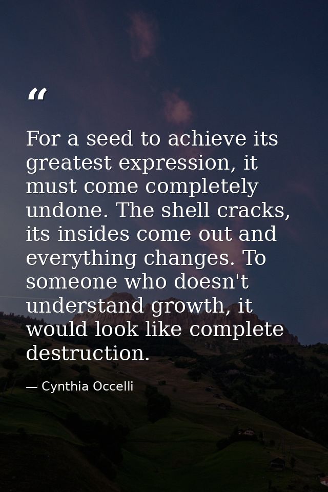 For a seed to achieve its greatest expression, it must come completely undone. The shell cracks, its insides come out an — Cynthia Occelli