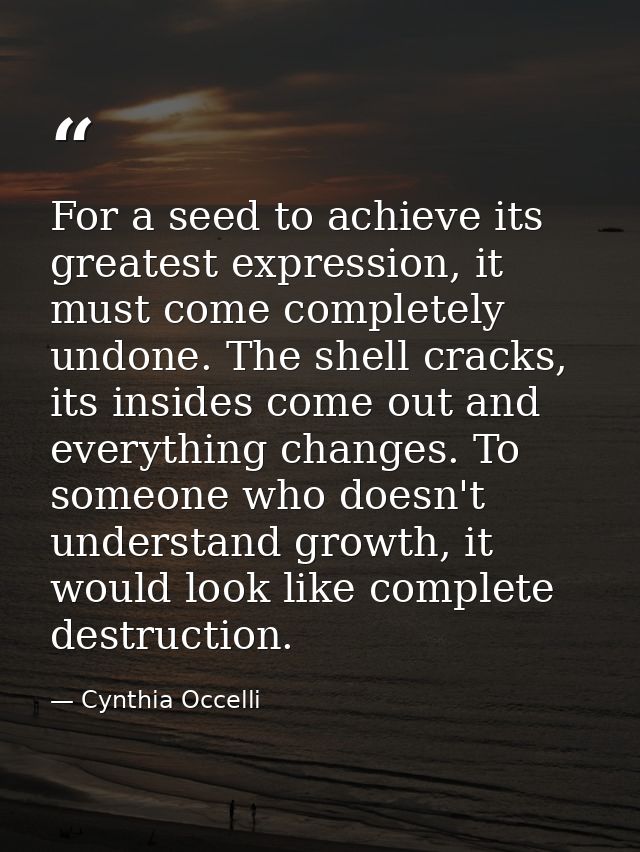 For a seed to achieve its greatest expression, it must come completely undone. The shell cracks, its insides come out an — Cynthia Occelli