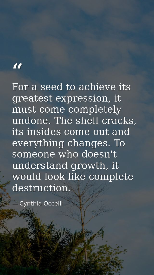 For a seed to achieve its greatest expression, it must come completely undone. The shell cracks, its insides come out an — Cynthia Occelli