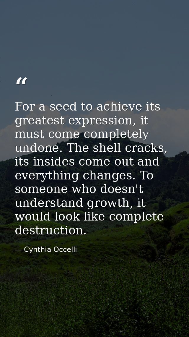 For a seed to achieve its greatest expression, it must come completely undone. The shell cracks, its insides come out an — Cynthia Occelli