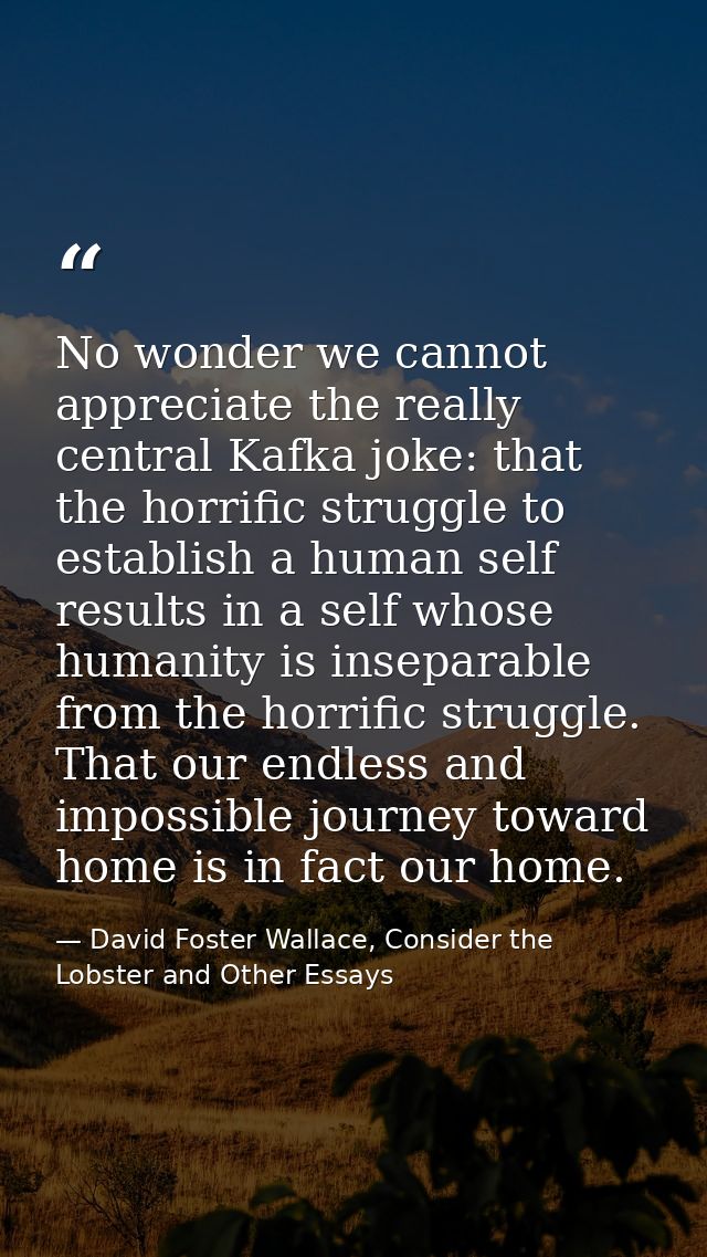 No wonder we cannot appreciate the really central Kafka joke: that the horrific struggle to establish a human self resul — David Foster Wallace, Consider the Lobster and Other Essays