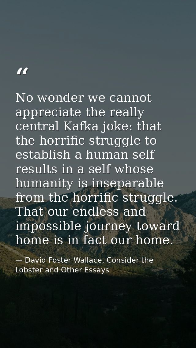 No wonder we cannot appreciate the really central Kafka joke: that the horrific struggle to establish a human self resul — David Foster Wallace, Consider the Lobster and Other Essays