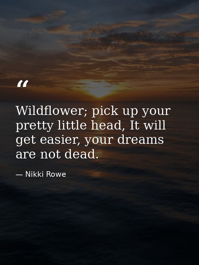 Wildflower; pick up your pretty little head, It will get easier, your dreams are not dead. — Nikki Rowe