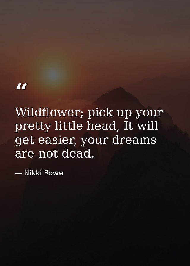 Wildflower; pick up your pretty little head, It will get easier, your dreams are not dead. — Nikki Rowe