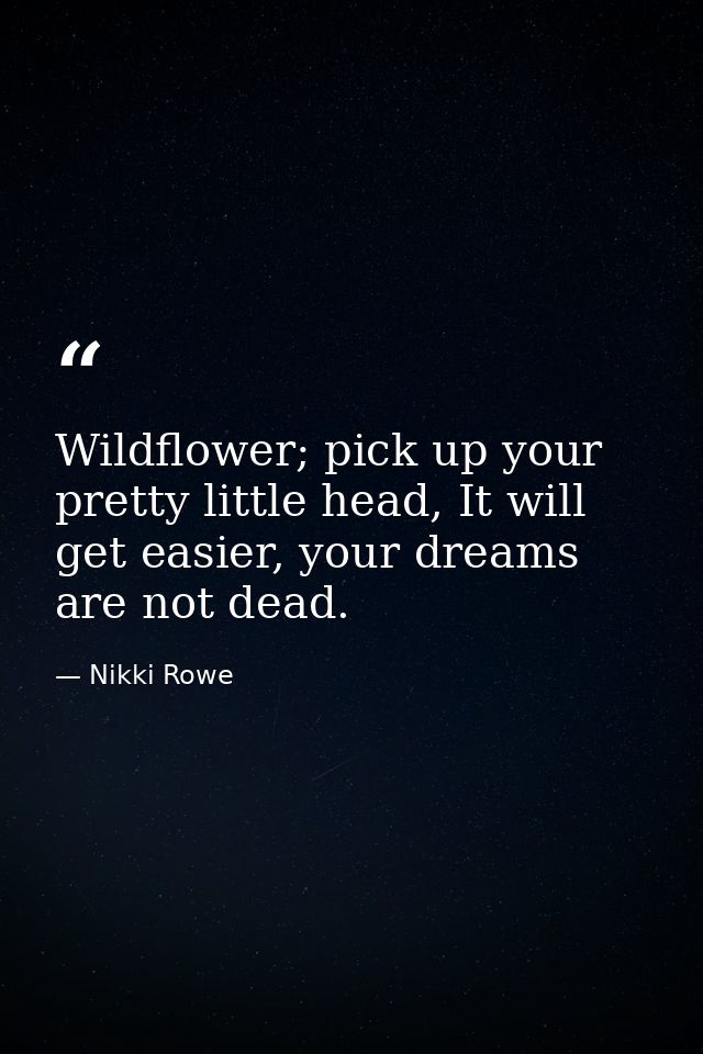 Wildflower; pick up your pretty little head, It will get easier, your dreams are not dead. — Nikki Rowe