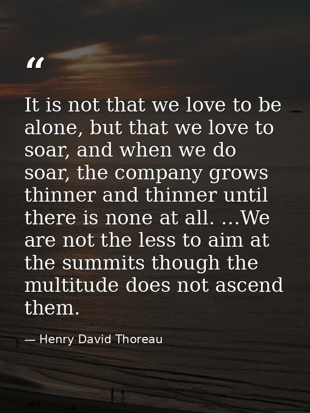 It is not that we love to be alone, but that we love to soar, and when we do soar, the company grows thinner and thinner — Henry David Thoreau