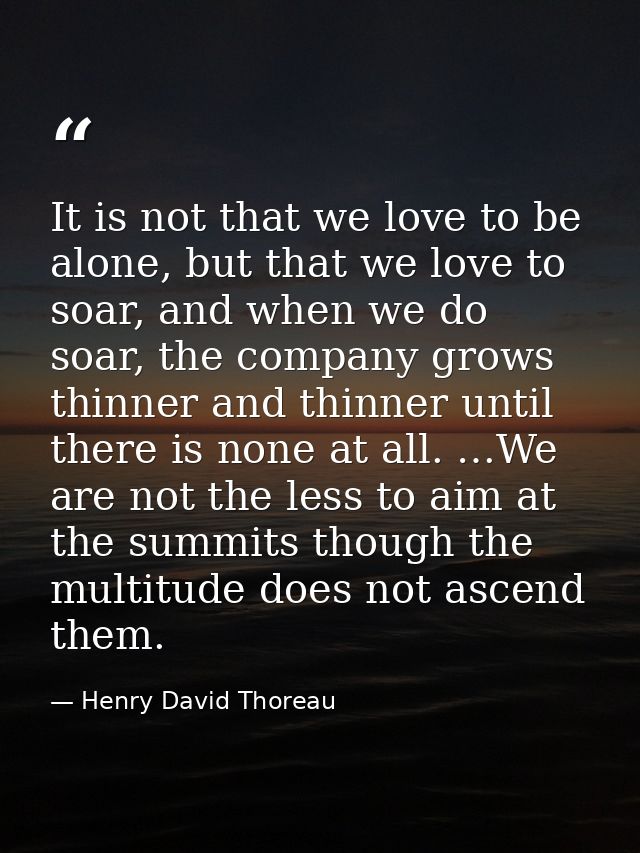 It is not that we love to be alone, but that we love to soar, and when we do soar, the company grows thinner and thinner — Henry David Thoreau