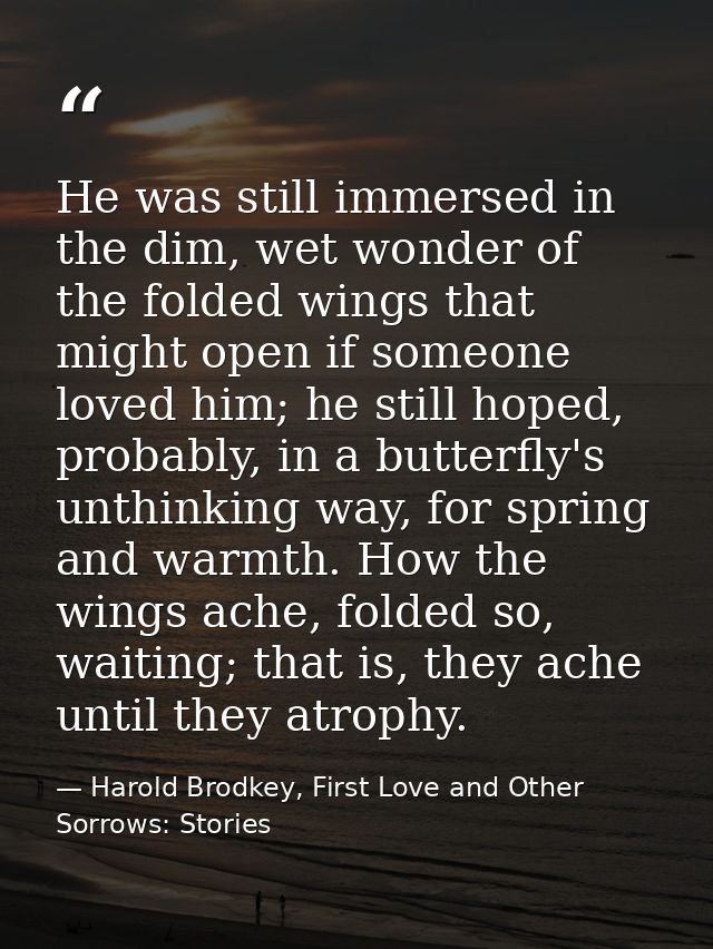 He was still immersed in the dim, wet wonder of the folded wings that might open if someone loved him; he still hoped, p — Harold Brodkey, First Love and Other Sorrows: Stories