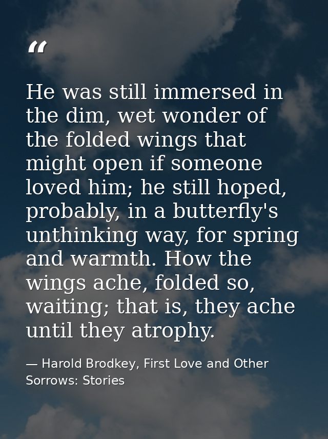 He was still immersed in the dim, wet wonder of the folded wings that might open if someone loved him; he still hoped, p — Harold Brodkey, First Love and Other Sorrows: Stories