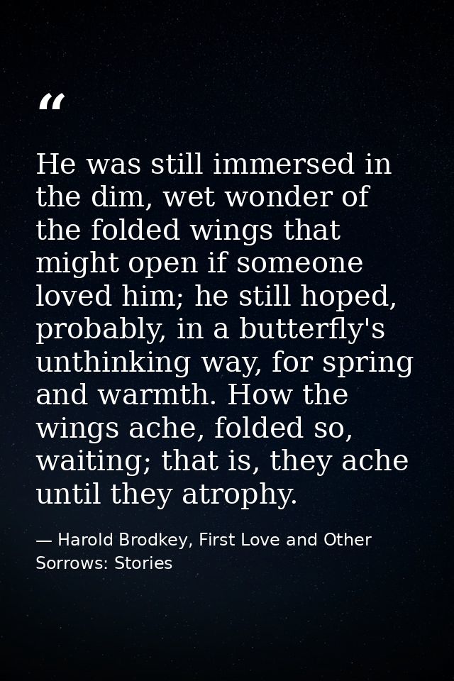 He was still immersed in the dim, wet wonder of the folded wings that might open if someone loved him; he still hoped, p — Harold Brodkey, First Love and Other Sorrows: Stories