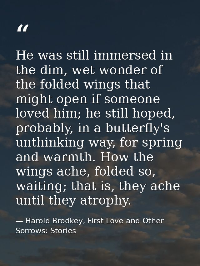 He was still immersed in the dim, wet wonder of the folded wings that might open if someone loved him; he still hoped, p — Harold Brodkey, First Love and Other Sorrows: Stories