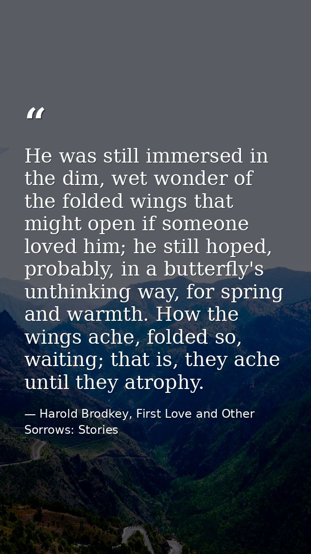 He was still immersed in the dim, wet wonder of the folded wings that might open if someone loved him; he still hoped, p — Harold Brodkey, First Love and Other Sorrows: Stories