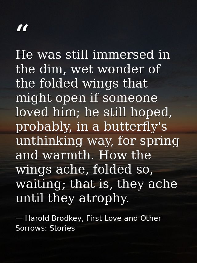 He was still immersed in the dim, wet wonder of the folded wings that might open if someone loved him; he still hoped, p — Harold Brodkey, First Love and Other Sorrows: Stories