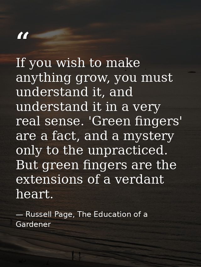 If you wish to make anything grow, you must understand it, and understand it in a very real sense. 'Green fingers' are a — Russell Page, The Education of a Gardener