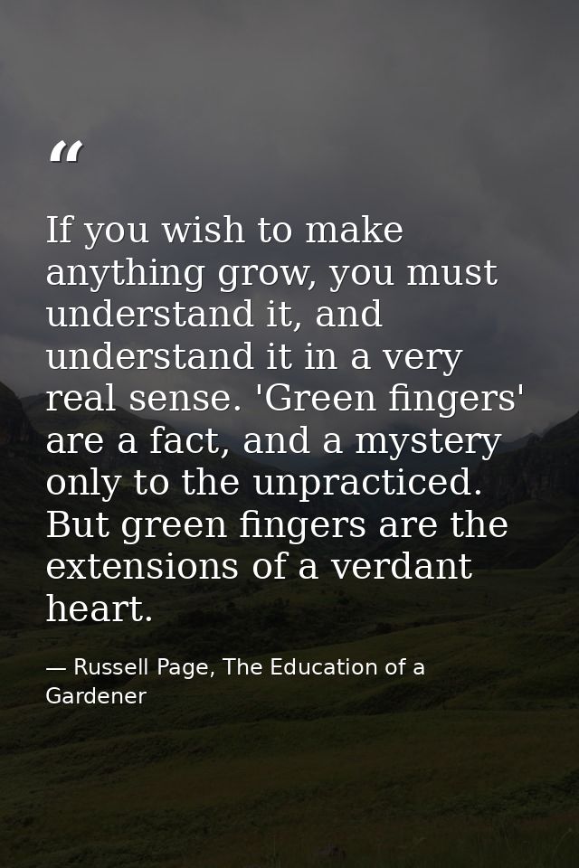 If you wish to make anything grow, you must understand it, and understand it in a very real sense. 'Green fingers' are a — Russell Page, The Education of a Gardener