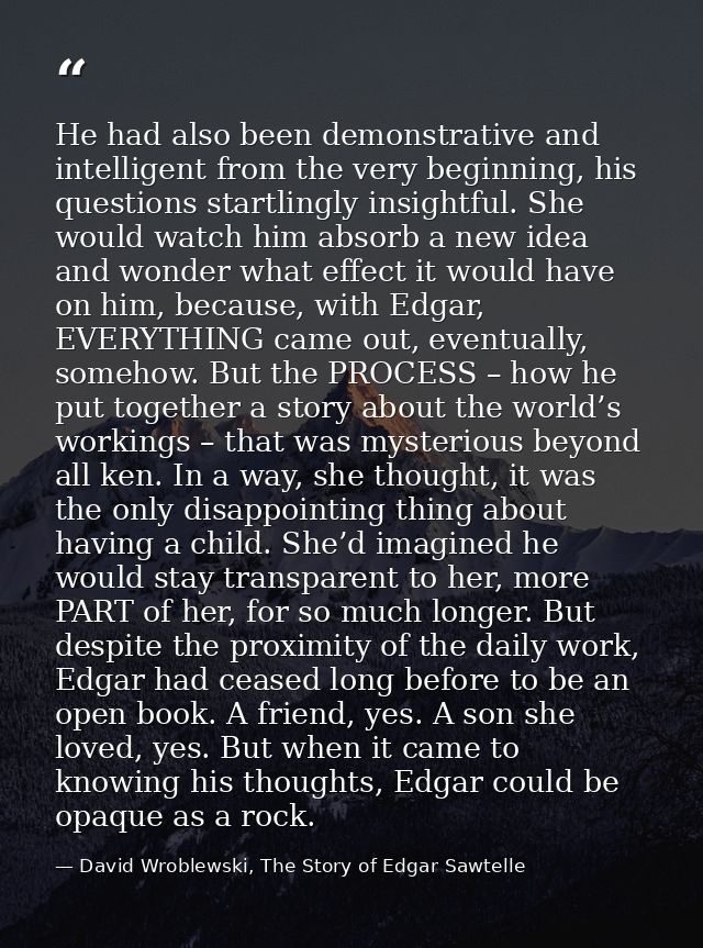 He had also been demonstrative and intelligent from the very beginning, his questions startlingly insightful. She would  — David Wroblewski, The Story of Edgar Sawtelle