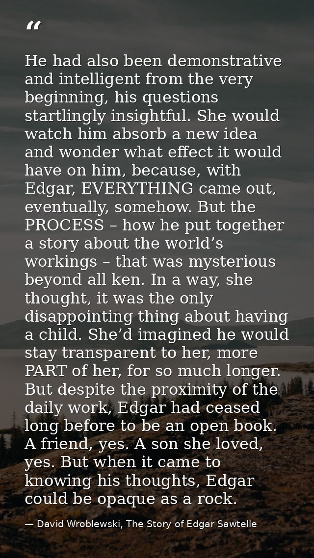 He had also been demonstrative and intelligent from the very beginning, his questions startlingly insightful. She would  — David Wroblewski, The Story of Edgar Sawtelle
