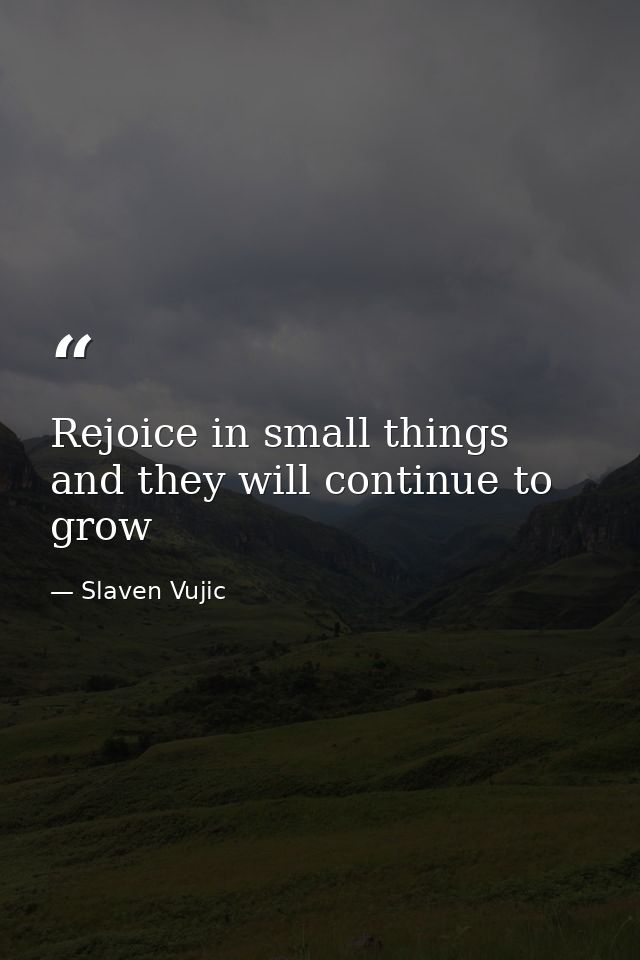 Rejoice in small things and they will continue to grow — Slaven Vujic