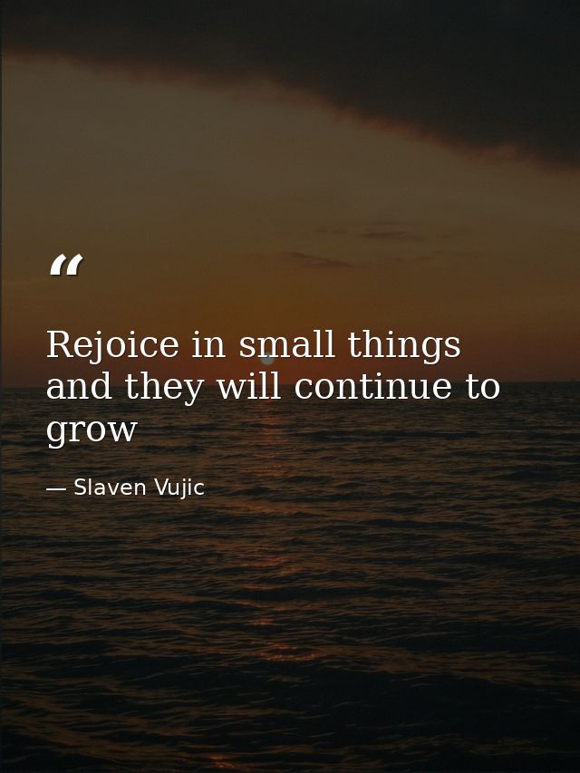 Rejoice in small things and they will continue to grow — Slaven Vujic