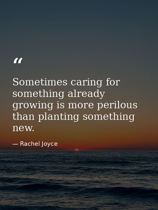 Sometimes caring for something already growing is more perilous than planting something new. — Rachel Joyce