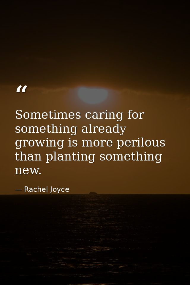 Sometimes caring for something already growing is more perilous than planting something new. — Rachel Joyce