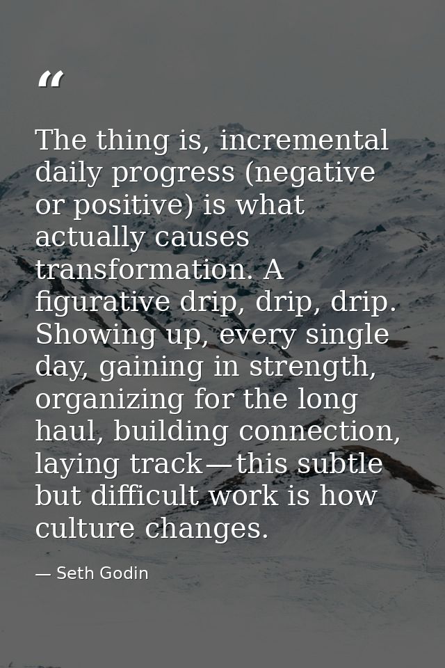The thing is, incremental daily progress (negative or positive) is what actually causes transformation. A figurative dri — Seth Godin