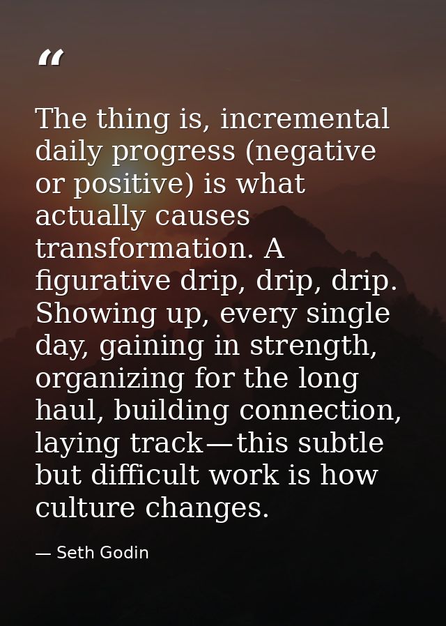 The thing is, incremental daily progress (negative or positive) is what actually causes transformation. A figurative dri — Seth Godin