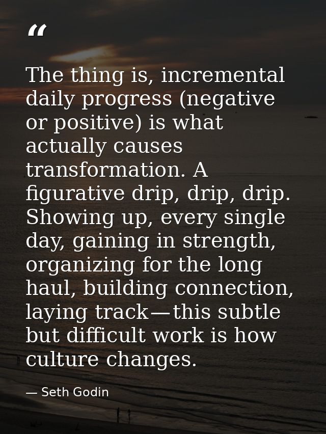 The thing is, incremental daily progress (negative or positive) is what actually causes transformation. A figurative dri — Seth Godin