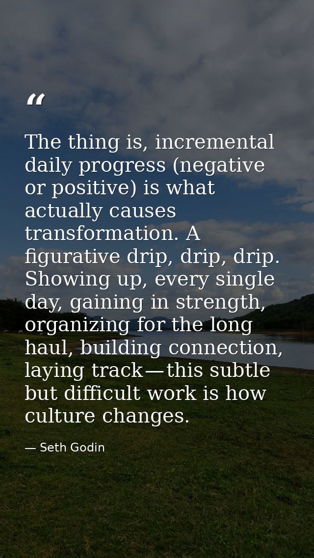 The thing is, incremental daily progress (negative or positive) is what actually causes transformation. A figurative dri — Seth Godin