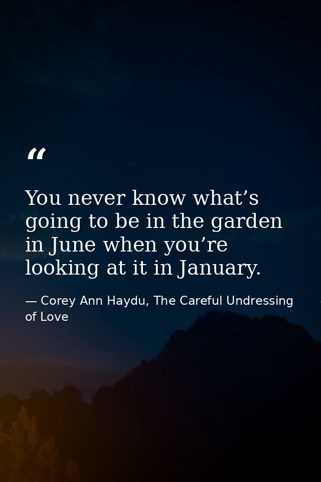 You never know what’s going to be in the garden in June when you’re looking at it in January. — Corey Ann Haydu, The Careful Undressing of Love