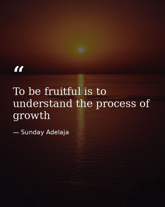 To be fruitful is to understand the process of growth — Sunday Adelaja
