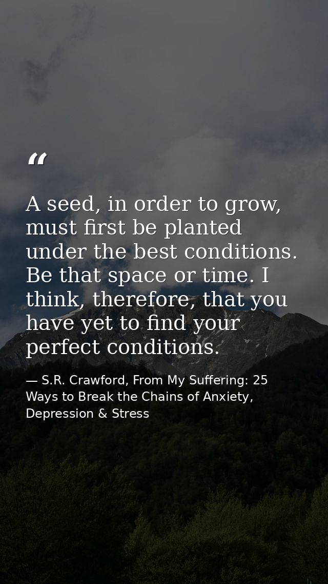 A seed, in order to grow, must first be planted under the best conditions. Be that space or time. I think, therefore, th — S.R. Crawford, From My Suffering: 25 Ways to Break the Chains of Anxiety, Depression & Stress