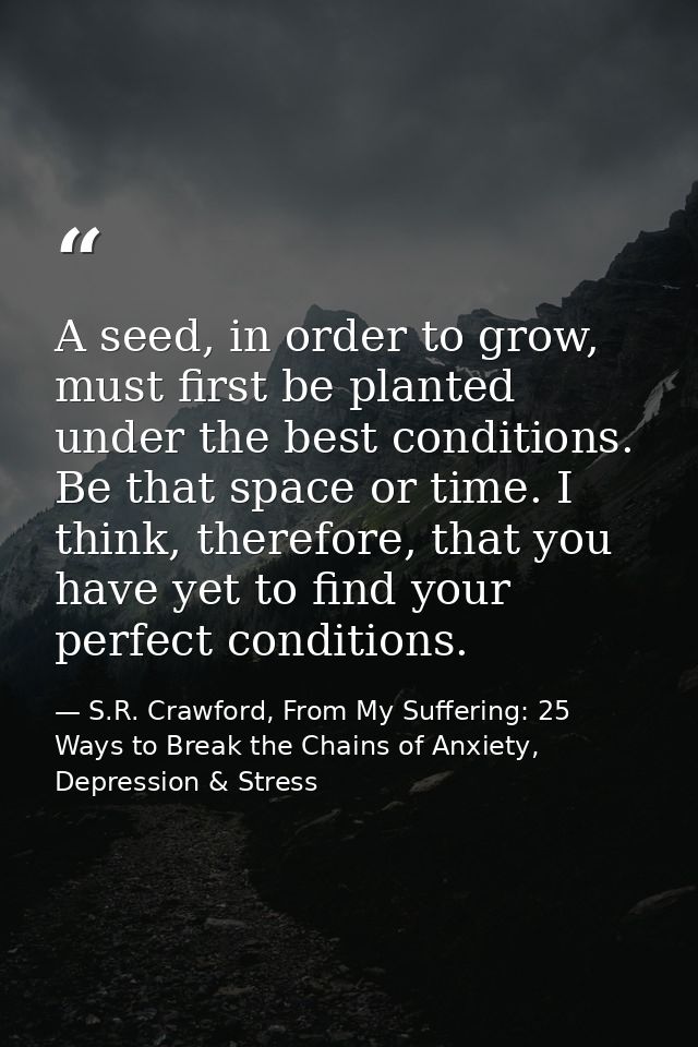 A seed, in order to grow, must first be planted under the best conditions. Be that space or time. I think, therefore, th — S.R. Crawford, From My Suffering: 25 Ways to Break the Chains of Anxiety, Depression & Stress