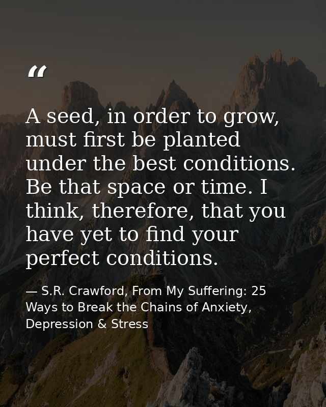 A seed, in order to grow, must first be planted under the best conditions. Be that space or time. I think, therefore, th — S.R. Crawford, From My Suffering: 25 Ways to Break the Chains of Anxiety, Depression & Stress