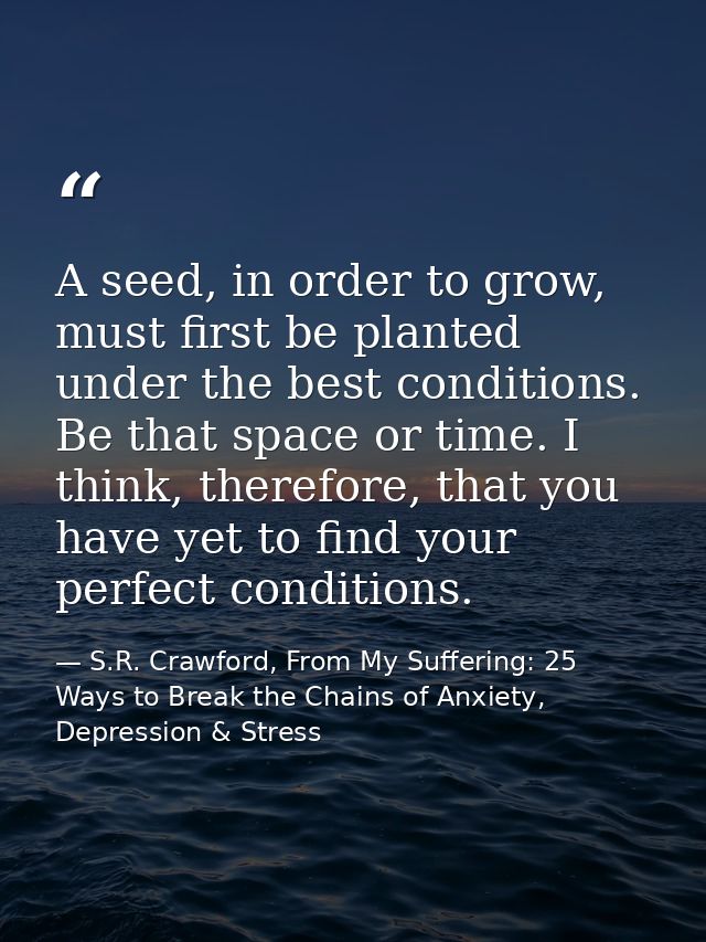 A seed, in order to grow, must first be planted under the best conditions. Be that space or time. I think, therefore, th — S.R. Crawford, From My Suffering: 25 Ways to Break the Chains of Anxiety, Depression & Stress