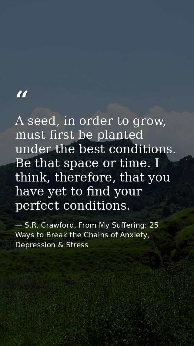 A seed, in order to grow, must first be planted under the best conditions. Be that space or time. I think, therefore, th — S.R. Crawford, From My Suffering: 25 Ways to Break the Chains of Anxiety, Depression & Stress