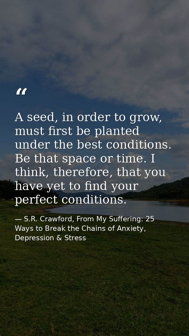 A seed, in order to grow, must first be planted under the best conditions. Be that space or time. I think, therefore, th — S.R. Crawford, From My Suffering: 25 Ways to Break the Chains of Anxiety, Depression & Stress