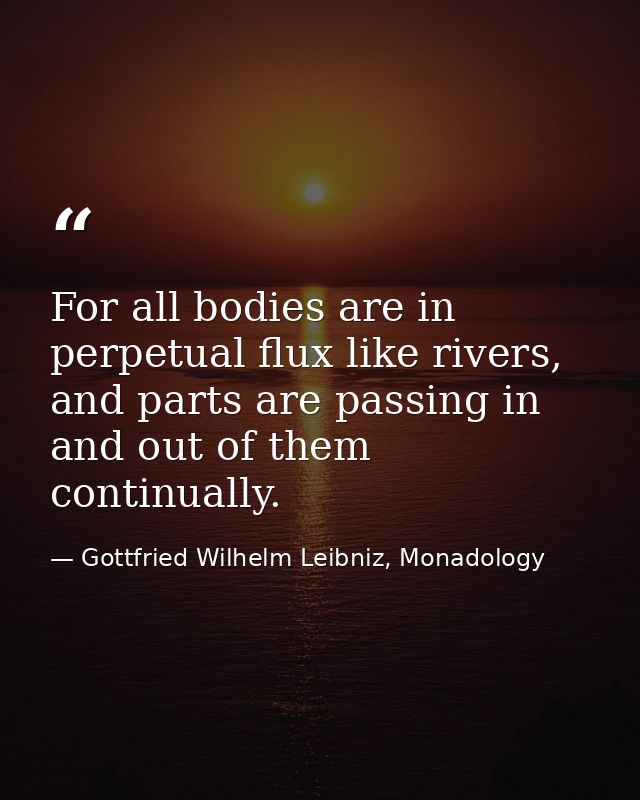 For all bodies are in perpetual flux like rivers, and parts are passing in and out of them continually. — Gottfried Wilhelm Leibniz, Monadology