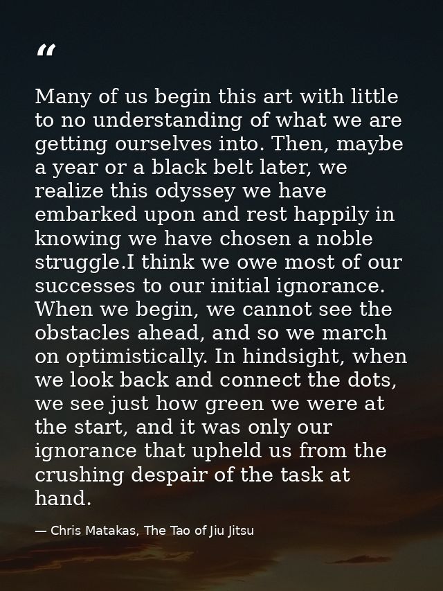 Many of us begin this art with little to no understanding of what we are getting ourselves into. Then, maybe a year or a — Chris Matakas, The Tao of Jiu Jitsu