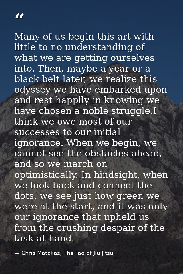 Many of us begin this art with little to no understanding of what we are getting ourselves into. Then, maybe a year or a — Chris Matakas, The Tao of Jiu Jitsu