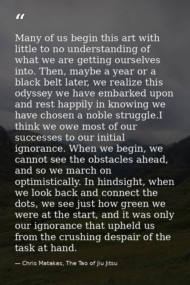 Many of us begin this art with little to no understanding of what we are getting ourselves into. Then, maybe a year or a — Chris Matakas, The Tao of Jiu Jitsu