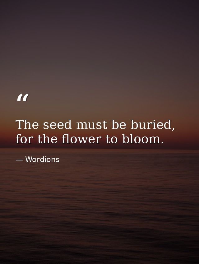 The seed must be buried, for the flower to bloom. — Wordions