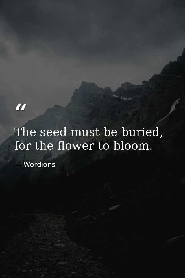 The seed must be buried, for the flower to bloom. — Wordions
