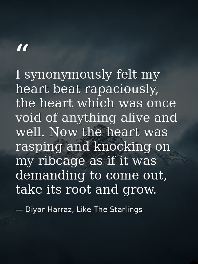 I synonymously felt my heart beat rapaciously, the heart which was once void of anything alive and well. Now the heart w — Diyar Harraz, Like The Starlings