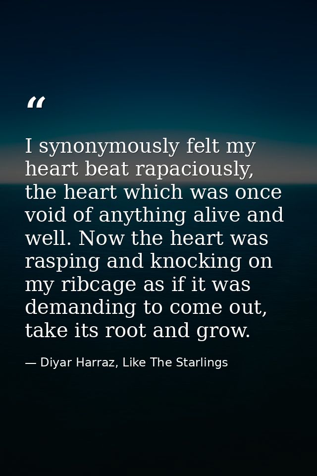 I synonymously felt my heart beat rapaciously, the heart which was once void of anything alive and well. Now the heart w — Diyar Harraz, Like The Starlings