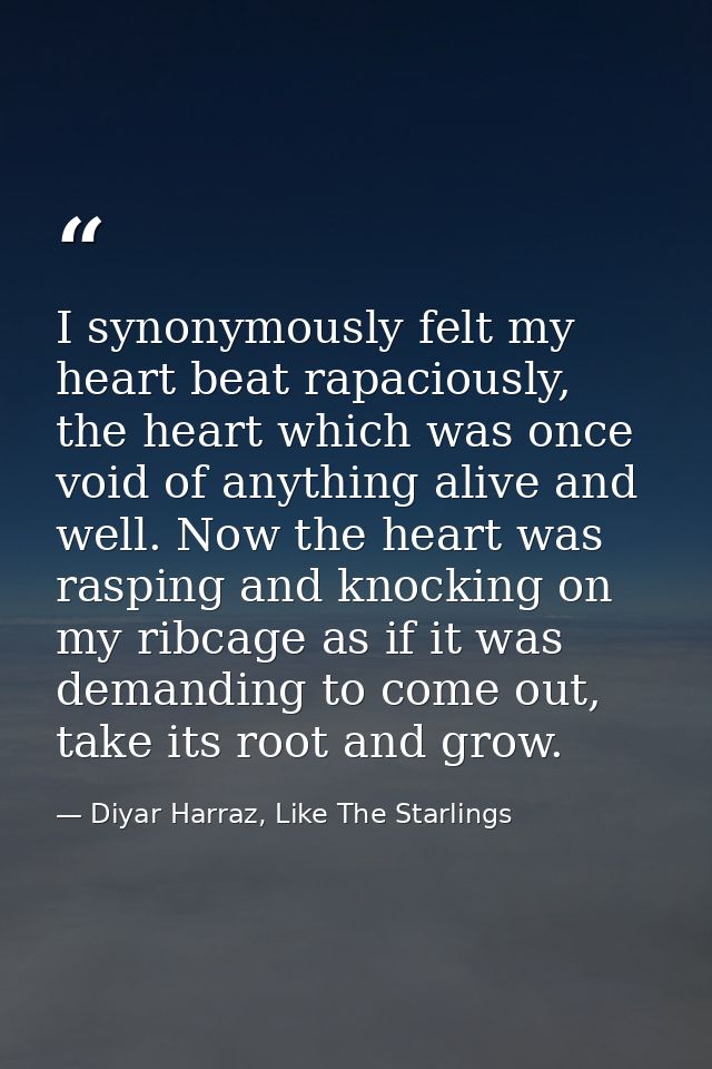 I synonymously felt my heart beat rapaciously, the heart which was once void of anything alive and well. Now the heart w — Diyar Harraz, Like The Starlings