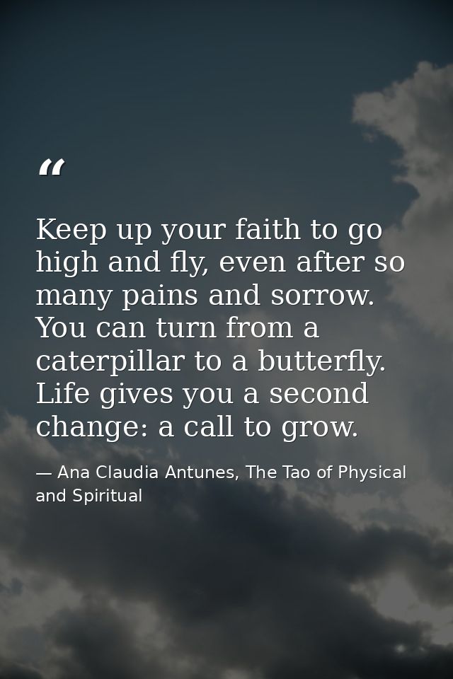 Keep up your faith to go high and fly, even after so many pains and sorrow. You can turn from a caterpillar to a butterf — Ana Claudia Antunes, The Tao of Physical and Spiritual