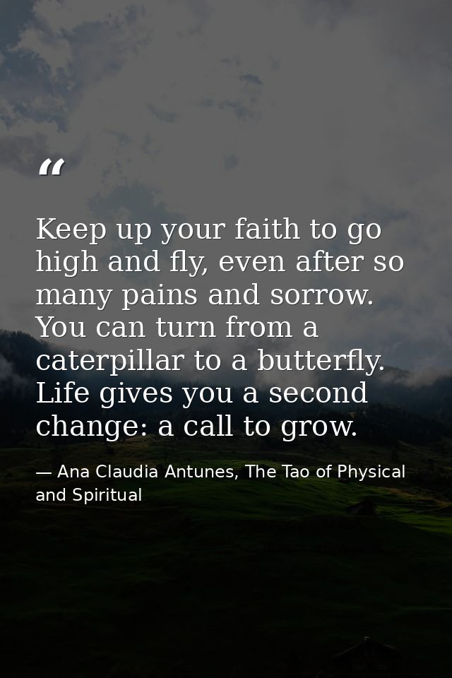 Keep up your faith to go high and fly, even after so many pains and sorrow. You can turn from a caterpillar to a butterf — Ana Claudia Antunes, The Tao of Physical and Spiritual