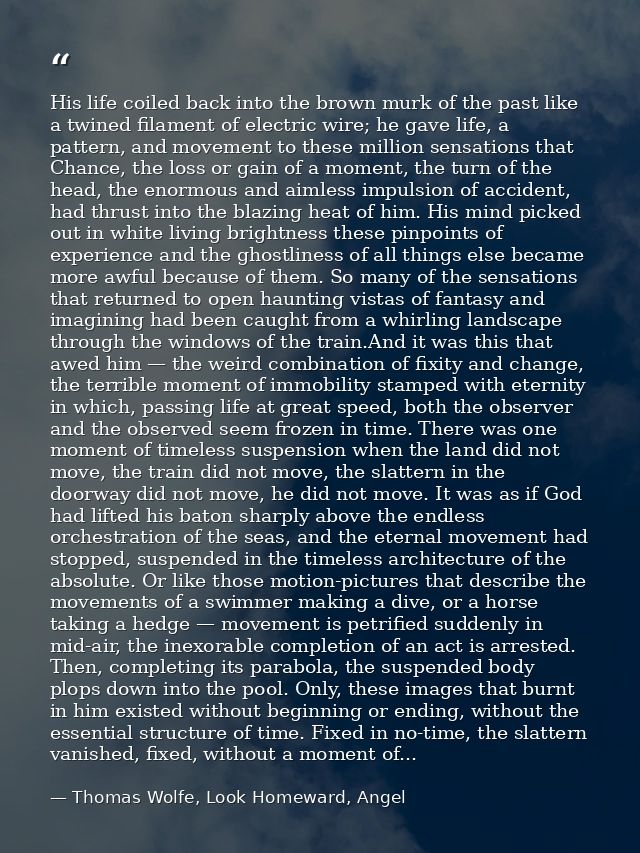 His life coiled back into the brown murk of the past like a twined filament of electric wire; he gave life, a pattern, a — Thomas Wolfe, Look Homeward, Angel